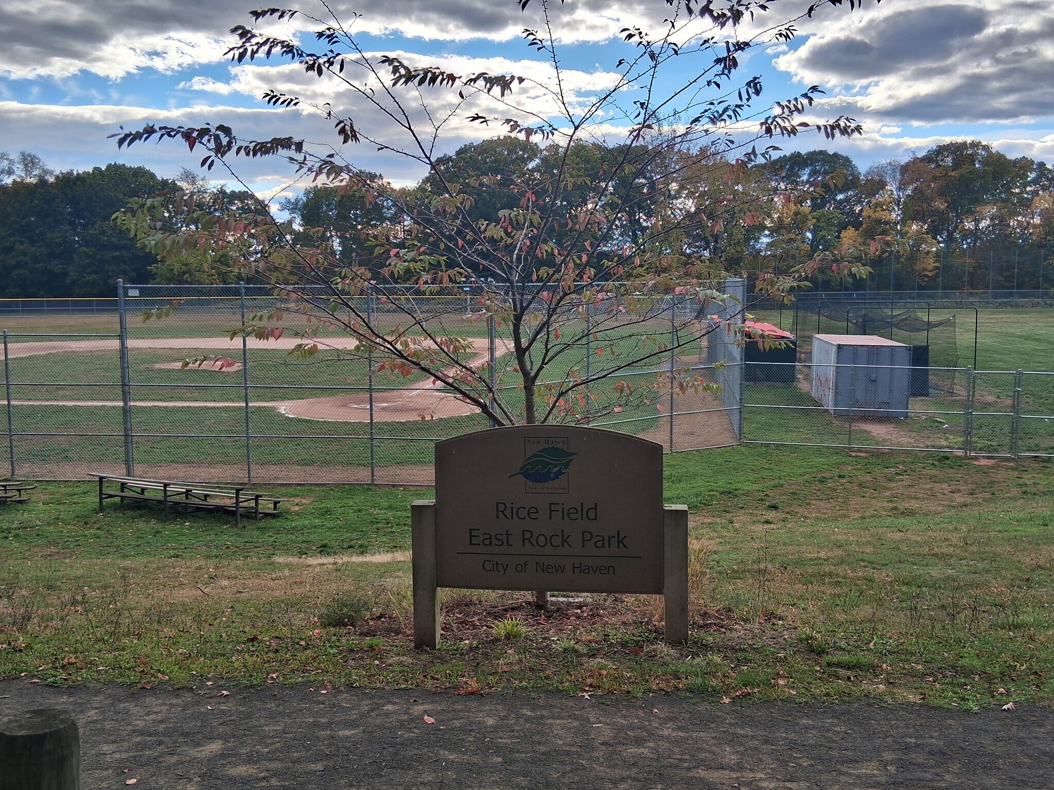 Baseball Fields - 261 View St