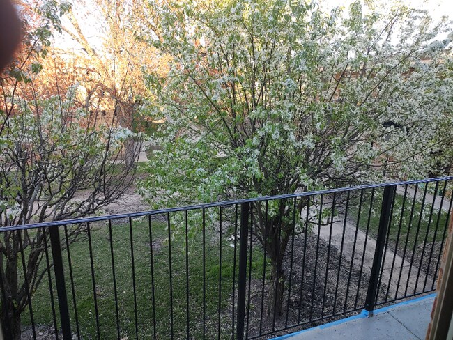 Building Photo - 8500 Waukegan Rd