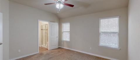 Building Photo - 2917 Colorado Dr
