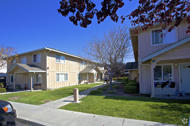 Building Photo - Sunshine Village Apartments