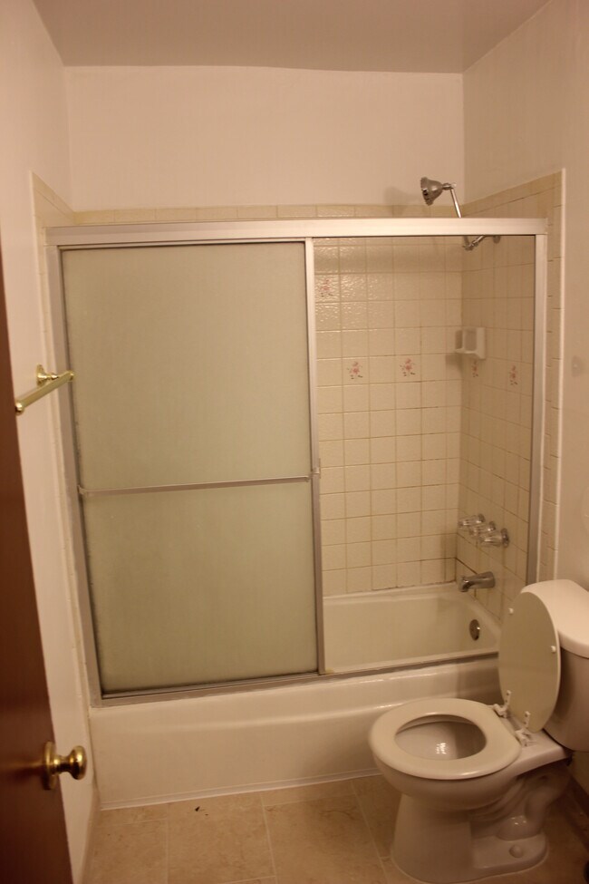 Shower - 13040 Dronfield Ave