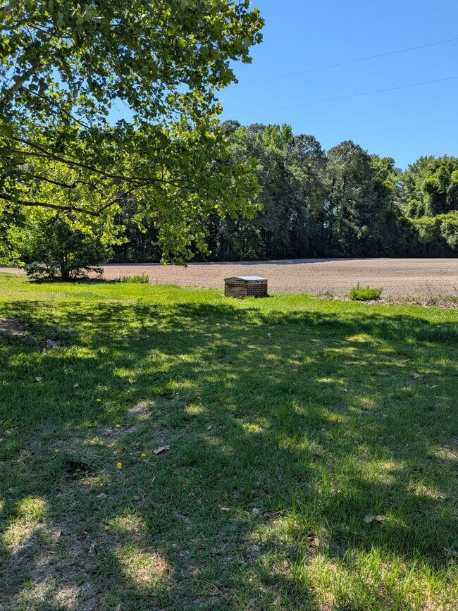 Building Photo - 253 Chicken Ln