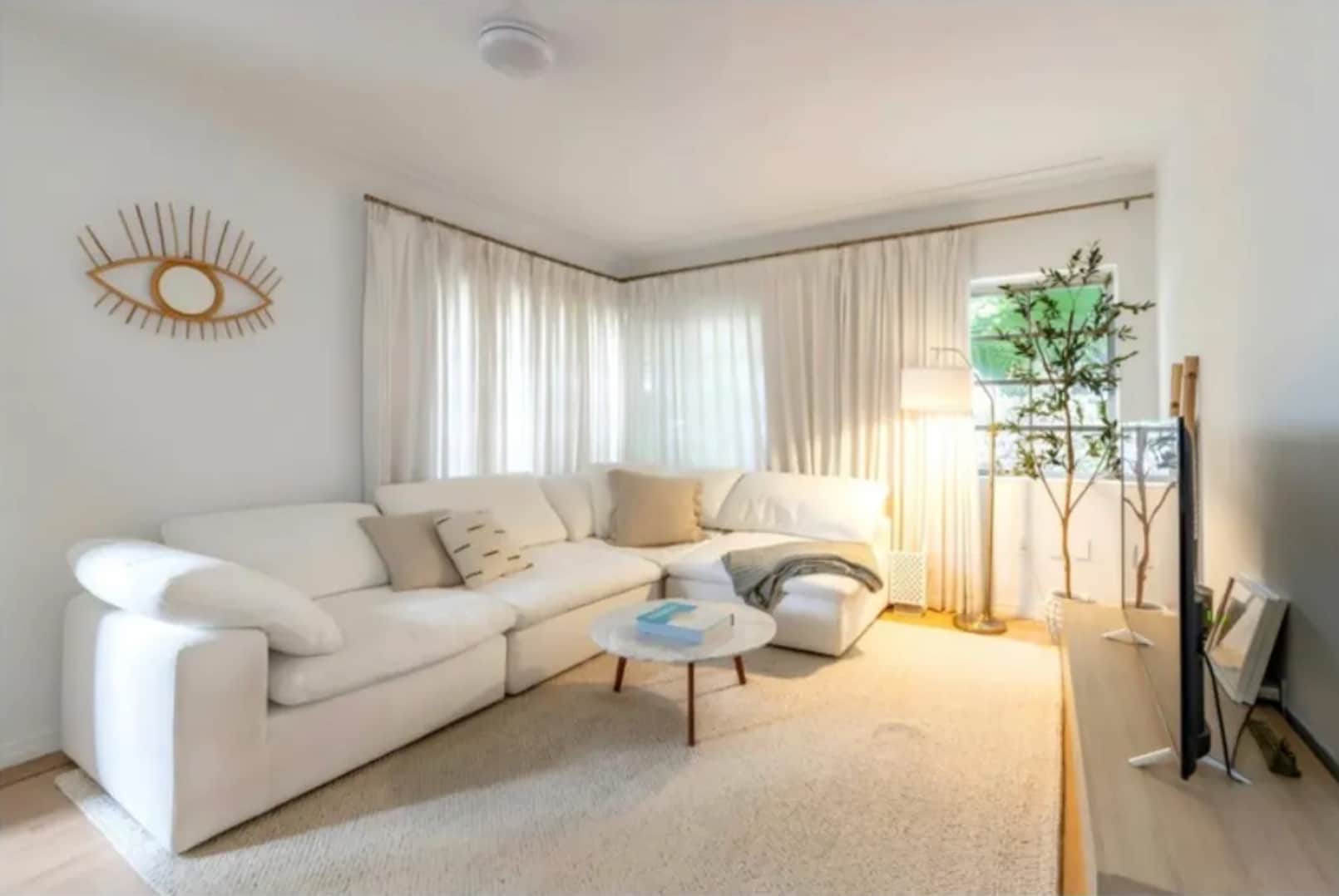 Living room - 817 Meridian Ave