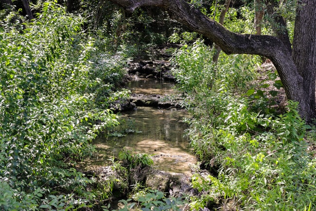 Building Photo - 506 Konstanty Cir