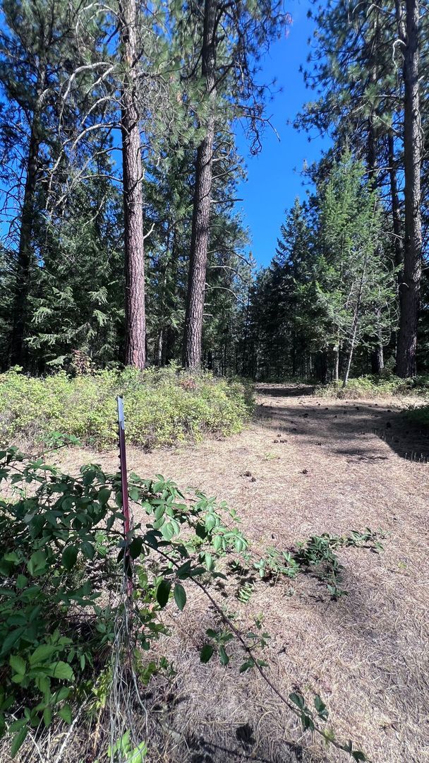 Building Photo - Peaceful Country Setting – Beautiful 5-Bed...