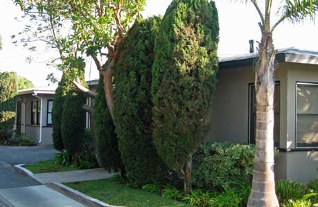 Building Photo - Lido Apartment Homes