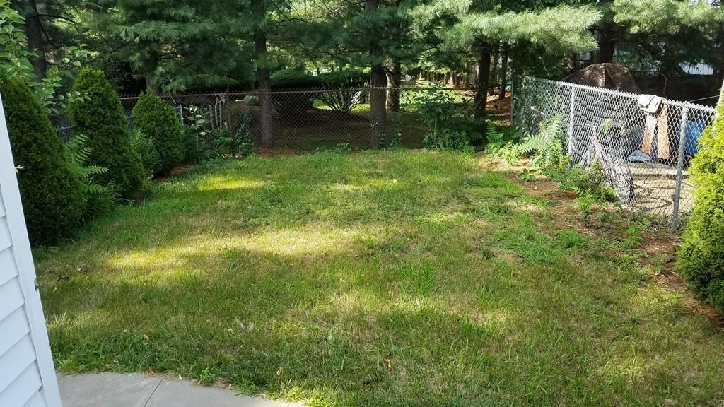 back yard - 11 Nichols Ave