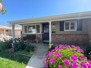 Building Photo - Stunning 3-Bedroom Home with Pool in South...