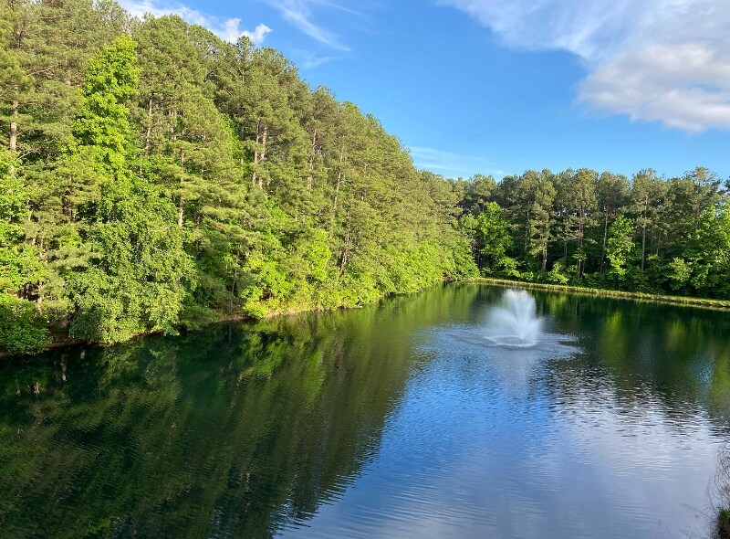 Building Photo - 7304 Doverton Ct