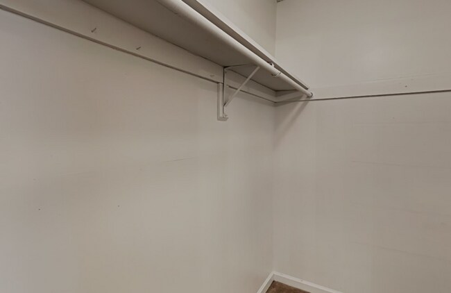 Building Photo - 2529 Caper Ln