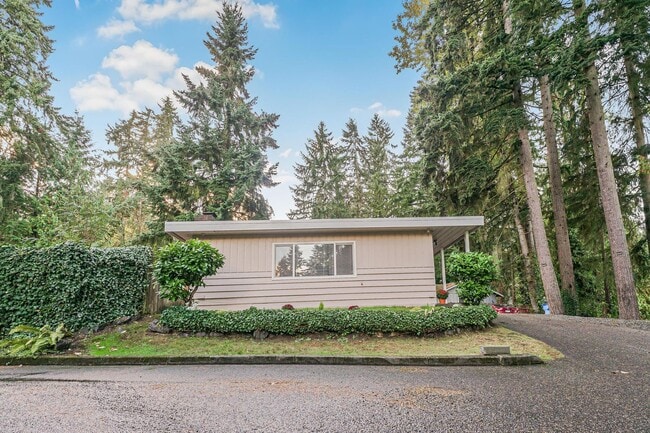 Building Photo - Fully Renovated & Very | Huge Yard | New HVAC | Lease w/ Option to Buy