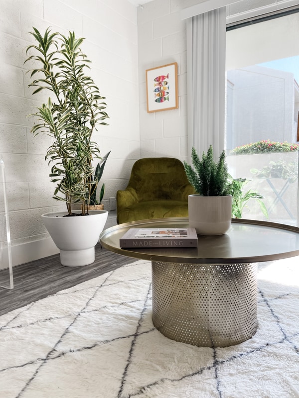 Building Photo - 1855 E Don Carlos