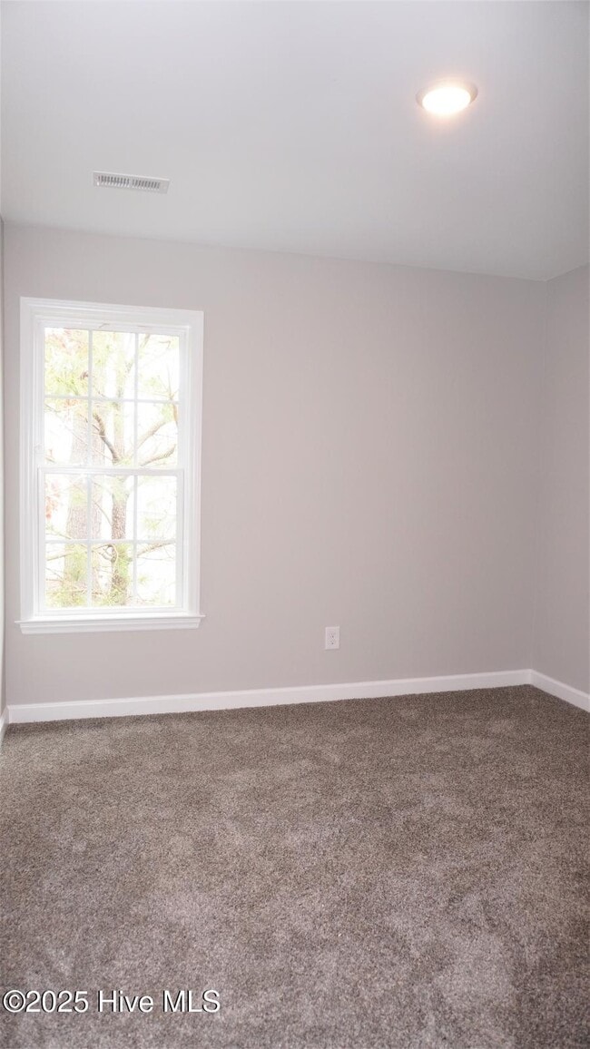 Building Photo - 1517 Pine Brook Ct