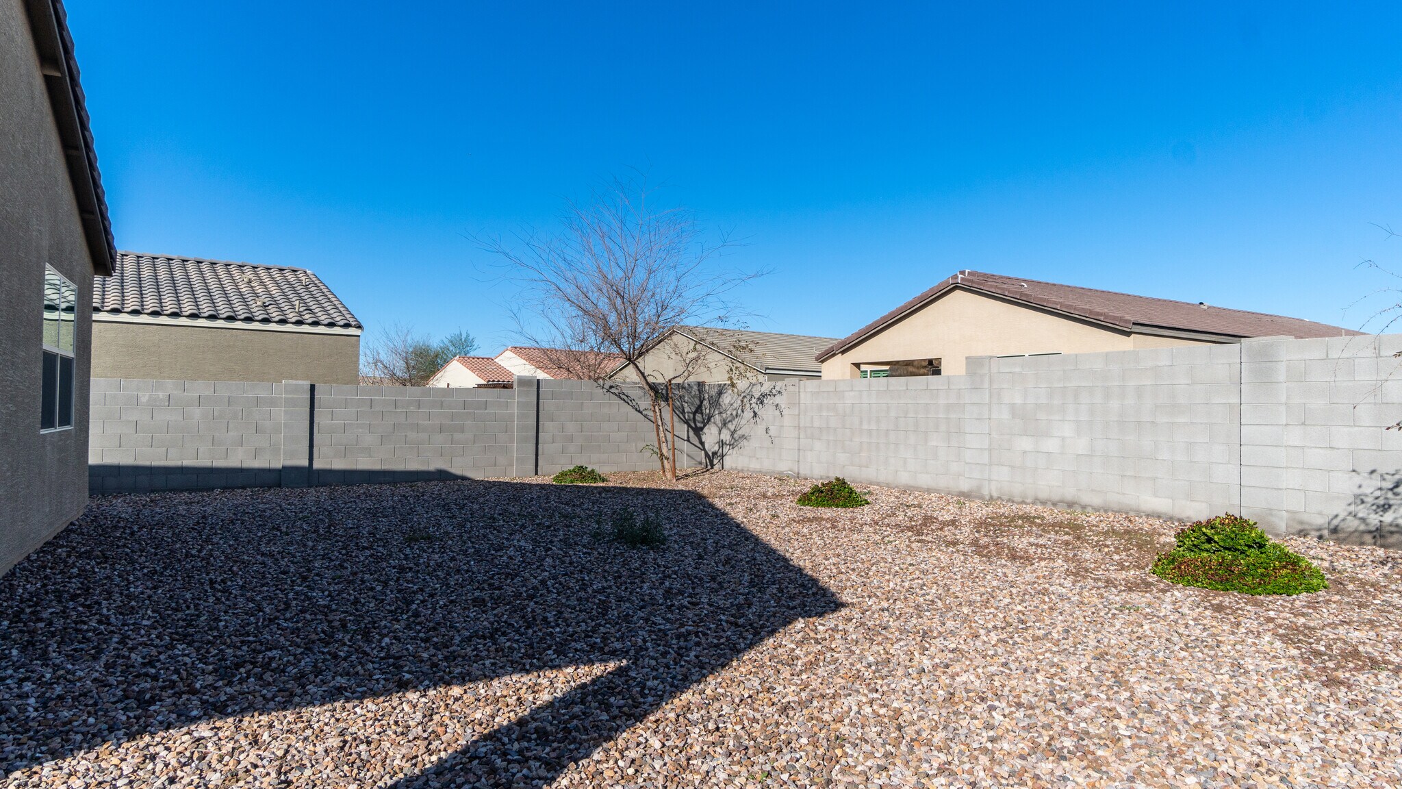 Building Photo - 514 W Cholena Trl