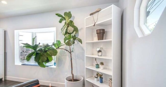Building Photo - Now Leasing – 812 Merlin | $6,200/Month | ...