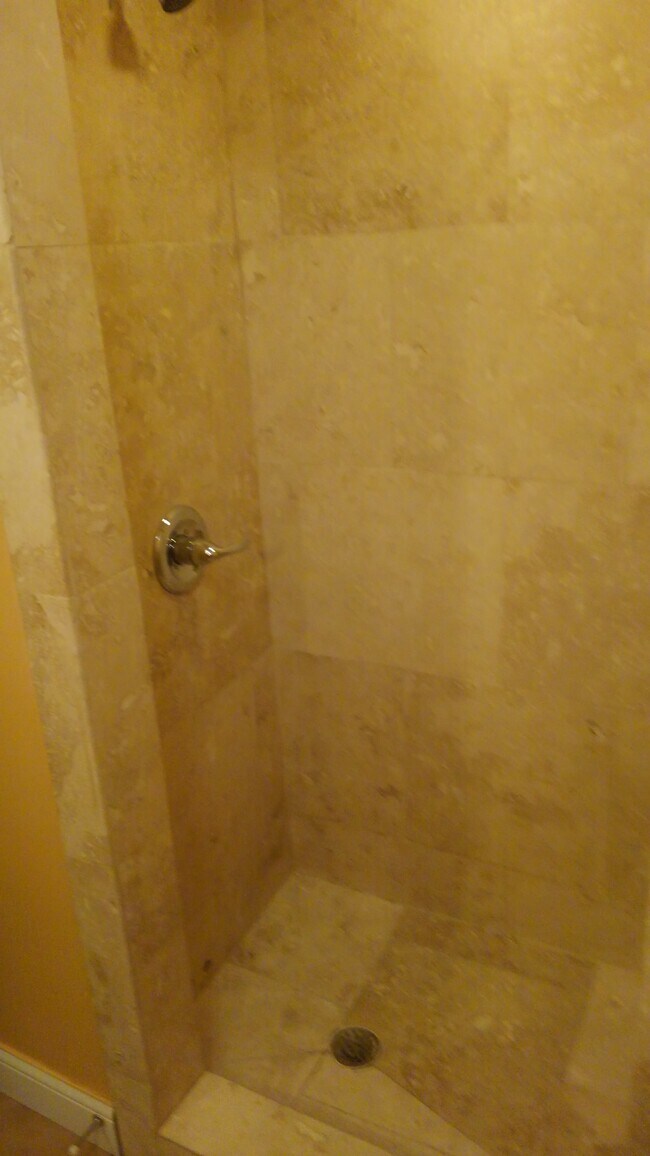 Walk in tile shower - 547 E Grand River Ave