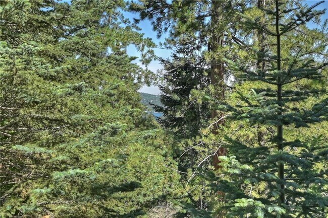 Building Photo - Treehouse-like atmosphere with peek-a-boo views of Lake Arrowhead