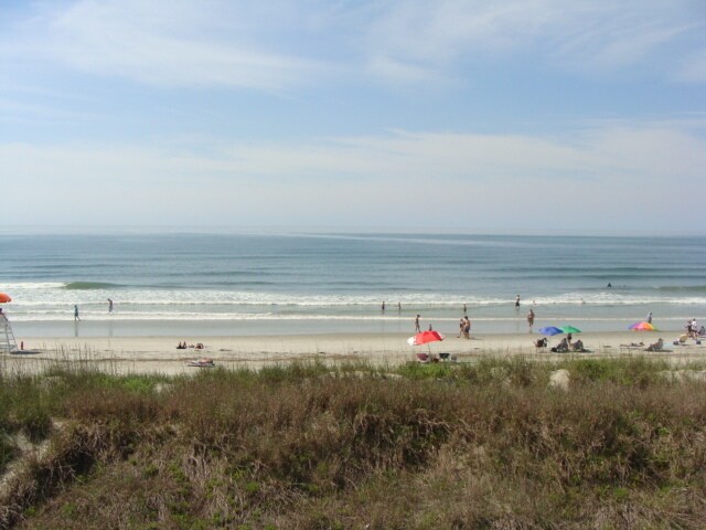 Building Photo - Oceanfront Pet-friendly Winter Rental! Available Now through April 30, 2026.