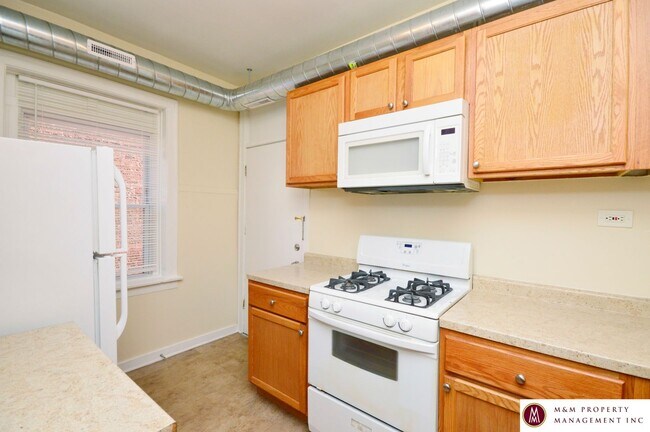 Building Photo - 201-207 N Harlem Ave