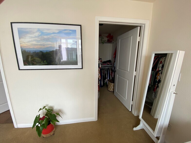 primary bedroom walk in closet - 924 Hornblend St