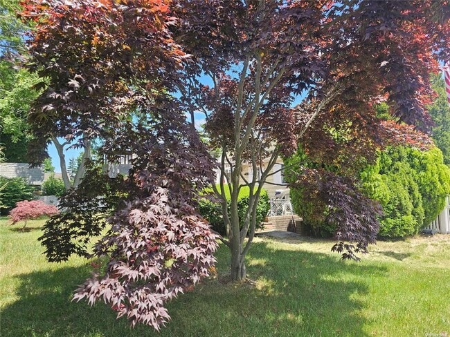 Building Photo - 1076 Carll Dr