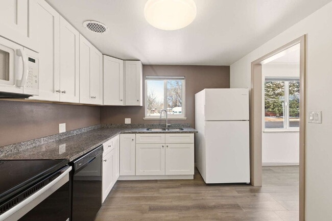 Building Photo - Remodeled 2 Bed 1 Bath in Park Hill!