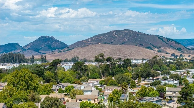 Building Photo - 53 Del Sol Ct