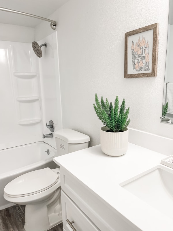 Building Photo - 1855 E Don Carlos