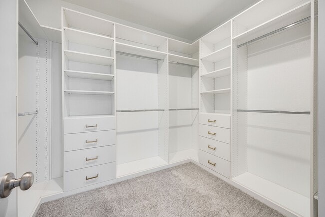 Building Photo - 3108 Planters Peak Dr