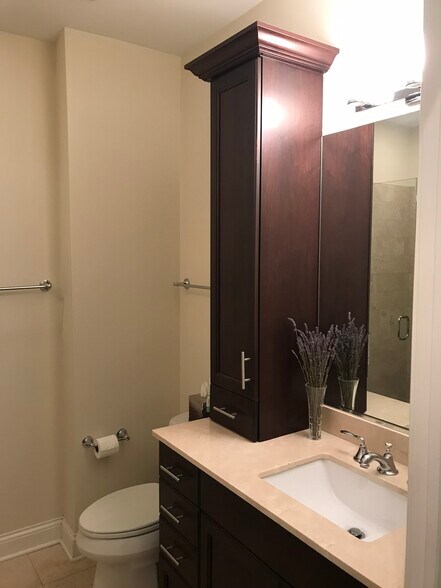 hall bath - 210 N Halsted St