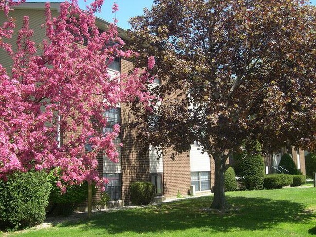 Primary Photo - 1681 Granada Dr