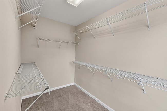 Building Photo - 8611 Macedonia Lake Dr