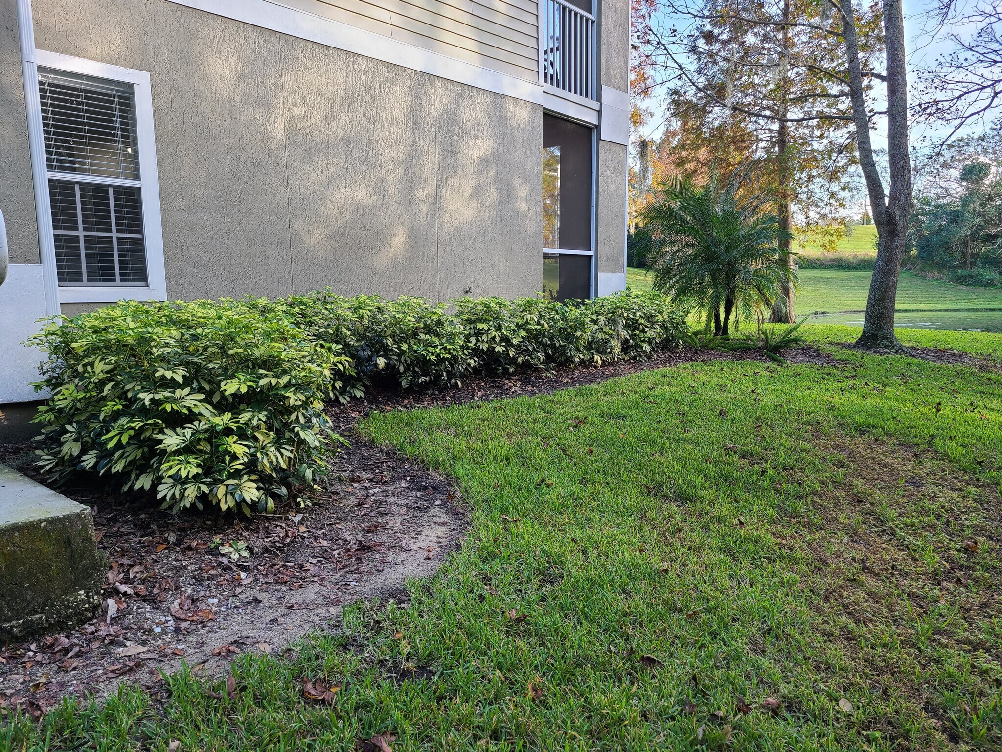 Outside - 4220 Summer Landing Dr
