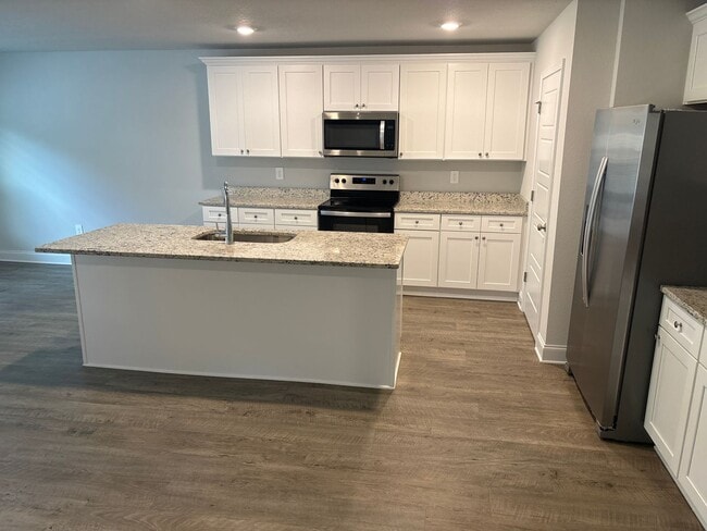 Building Photo - Newly built 4 Br 2 Ba Home