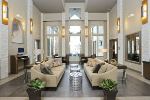 Lobby - Aliso Briar Forest