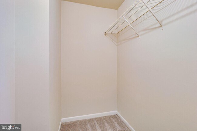 Building Photo - 3000 Winter Pine Ct