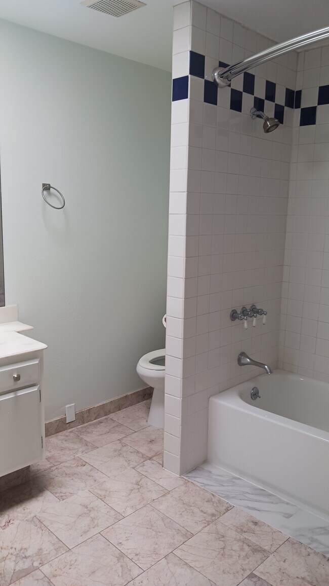 new bathtub in master bath - 4365 McLaughlin Ave