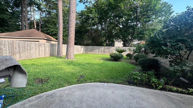 Back yard - 4806 Havenwoods Dr