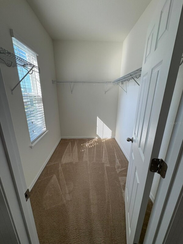 Building Photo - 9349 Tyrella Pine Trail