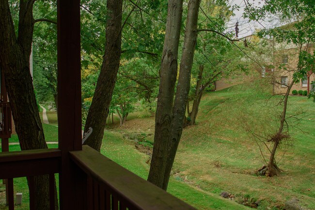 Building Photo - 280 Bridgewater Rd