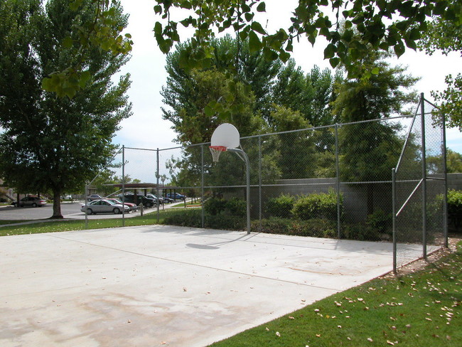 Basketball Court - Westberry Square Apartments