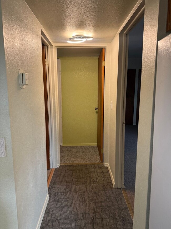 Building Photo - 2 Bed 1 Bath in Belgrade
