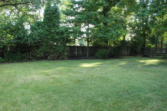 back yard - 1343 Sprucewood Ct