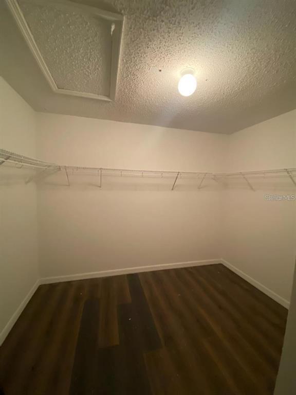 Building Photo - 10206 Beneva Dr