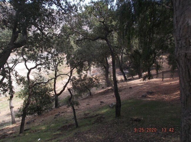 Building Photo - COMING SOON! Large 1 Bedroom In-Law apartment in a serene setting with a view of the valley