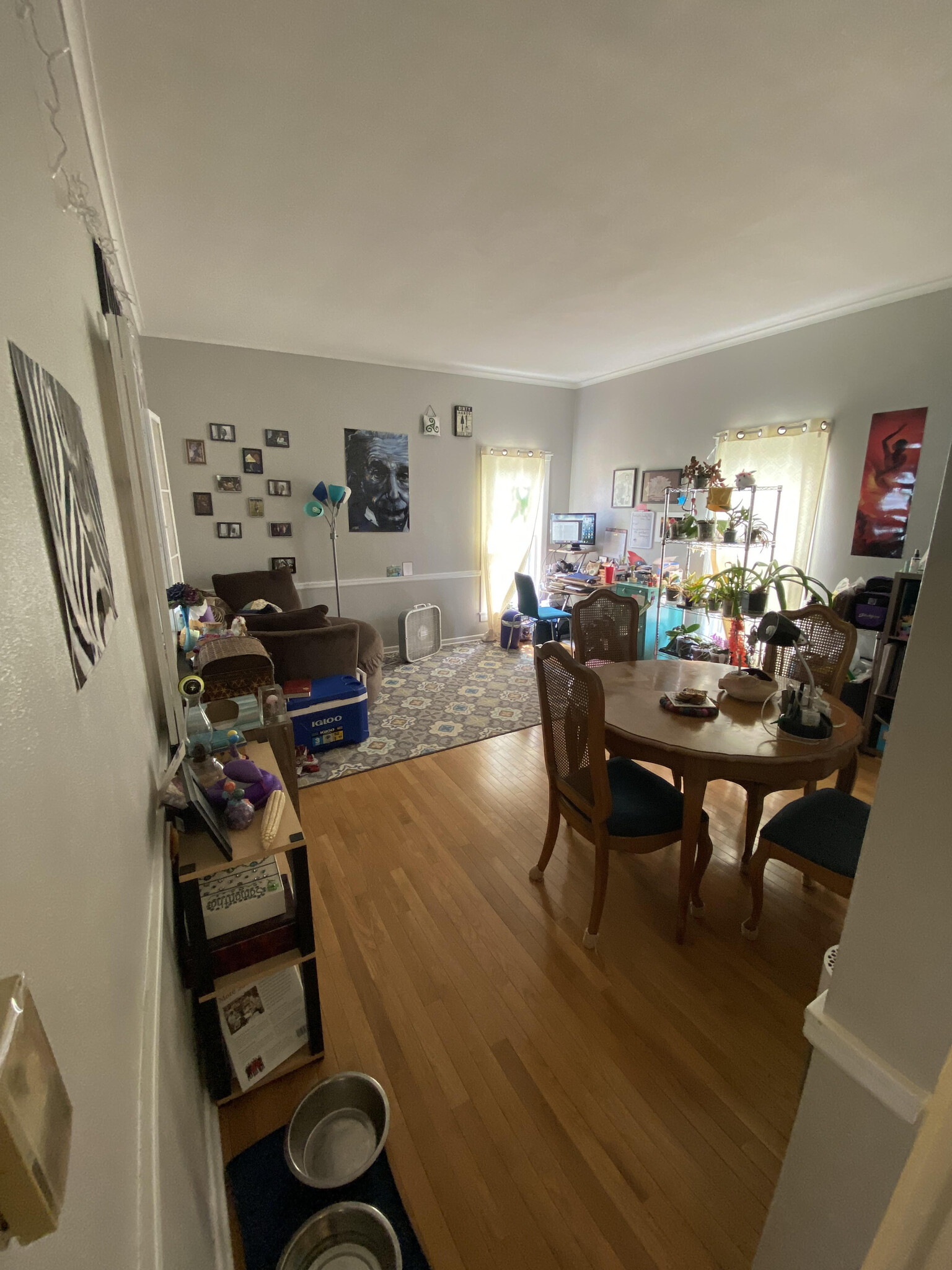 Hardwood floors in a large living room with natural light - 702 Douglas Ave