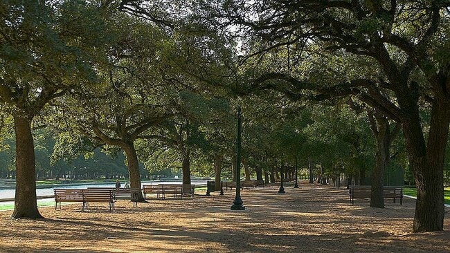 Building Photo - 5516 Chenevert St