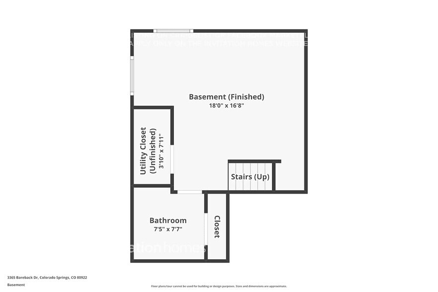 Building Photo - 3365 Bareback Dr