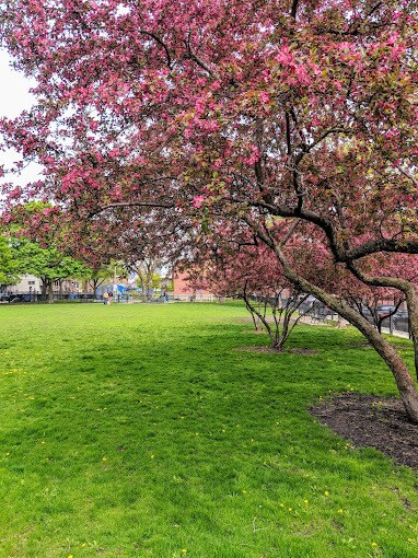 Nearby dog park - 2170 W Bowler St