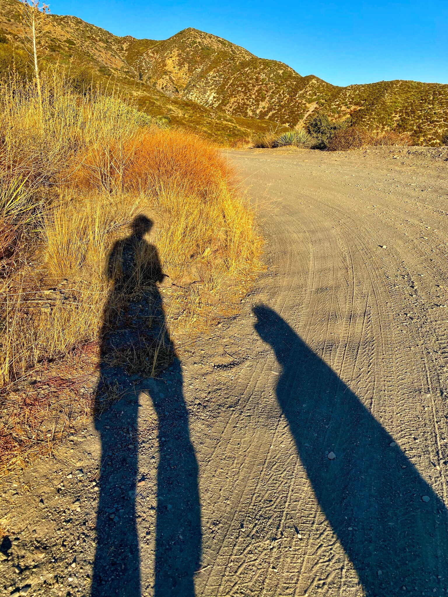 Building Photo - 13992 Irving Ln